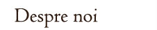 Despre Hotel Wolf 2